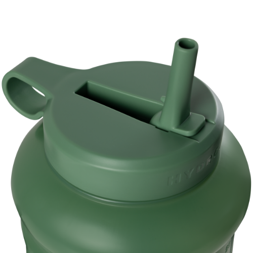Sage v6069